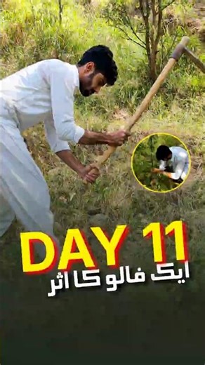 Roots of Hope | HumQadam Foundation’s Tree-Planting Mission for a Greener Pakistan 🌳