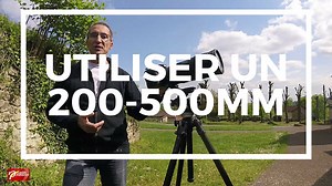 Test Nikon 200-500 mm : avis et conseils d'utilisation | Nikon Passion