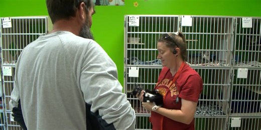 Decatur High School students raise money to help animal shelter