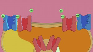 Video: Long-term Depression