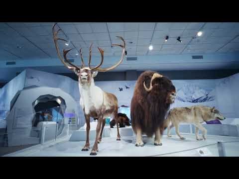 Planet Ice Exhibit (spring 2026) at Fernbank