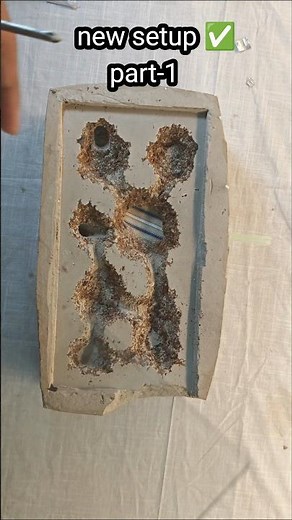 🐜 My Ant Colony’s New Formicarium Setup 😍 | Queen Ant! #shorts #antkeeping 🤯🔥