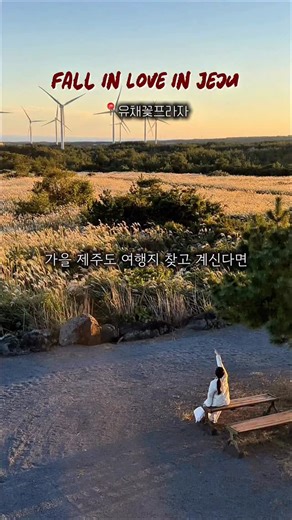 예은ㅣ제주여행 on Instagram: "가을 제주, 어디 갈지 고민이라면 여기로 🍂🤎 억새부터 단풍 & 산책코스까지 다 모아놨으니 저장해두고 하나씩 다녀와보세요 ! 🤎 🎞️ 영상 속 여행지 📍유채꽃프라자 - 억새+풍차뷰, 지금부터 겨울까지 예쁜 명소 📍새미동산 - 핑크뮬리는 11월 초까지 + 맨드라미·코스모스도 있고 겨울에는 감귤 체험도 가능 📍산굼부리 - 올라가면 억새뷰 장관, 시간은 조금 소요되지만 그만한 가치가 있는 곳! - 입구에서 간식도 판매해요 🍿🥨 📍닭머르해안 - 바다와 억새 조합, 가벼운 산책 코스로 추천 - 노을 명소로도 유명해 일몰 시간 방문 추천드려요 📍백약이오름 - 주차장 1분컷 억새 인생샷 명소 📍용눈이오름 레일바이크 - 억새 가득한 오름뷰 보며 레일바이크를 탈 수 있는 곳 - 가족여행 코스로도 추천 ✔️ 영상 외 추천 여행지 🍁 단풍 -천왕사 -천아계곡 -한라산 영실코스 🌾 억새 -어음리억새군락지 -새별오름 -따라비오름 -아끈다랑쉬