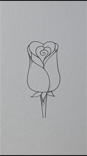 mini drawing on Instagram: "Rose Flower drawing #minidrawing #rose #illustration #howtodraw #easysketch"