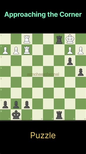 Approaching the Corner #chess #chessmaster #chesstricks #chessgame #chesscom #chesspuzzle #catur