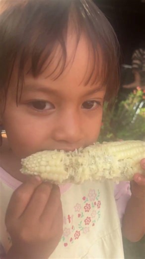 #song #shortvideo #smartphone #tablet #repair #cover #funny #zodiac #asmr