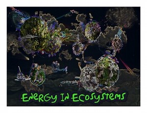 Energy in Ecosystems [Powerpoint & Video Lesson]