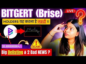 Bitgert (BRISE) की Big Delistings🚨 ? Bitgert coin News today || Brise token latest price updates