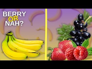 Bananas Are Berries, Actually?