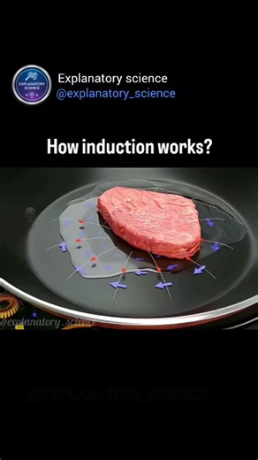 How does induction actually work? 🤯 Explained by animated videos.🤔 #induction #explore #shorts