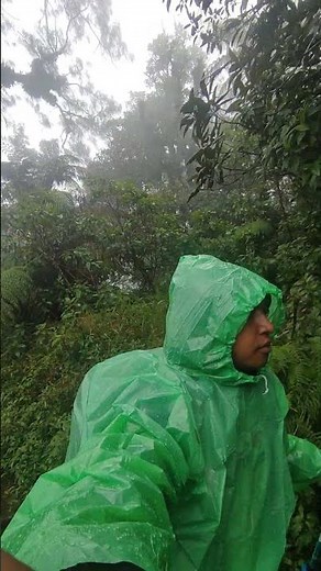 Trekking Gunung Batukaru, Jalur Sejuk dan Menantang