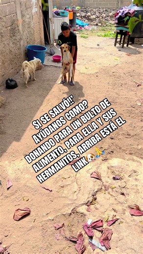 #insta #luna.la.chiapaneca #tuxtla Gutiérrez chis #canelita🥳🐶🙏