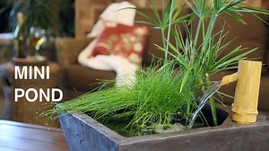 6.1K views · 306 reactions | Here's a super quick and easy way to create a mini pond using a kit! Learn more >> https://www.aquascapeinc.com/products/aquatic-patio-pond-kit | Aquascape Inc. | Facebook