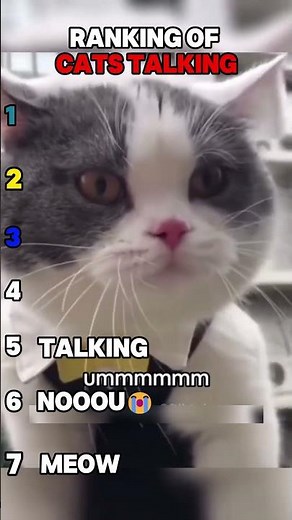 Top 7 Cats That Talk Like Humans #viral #funny #cat