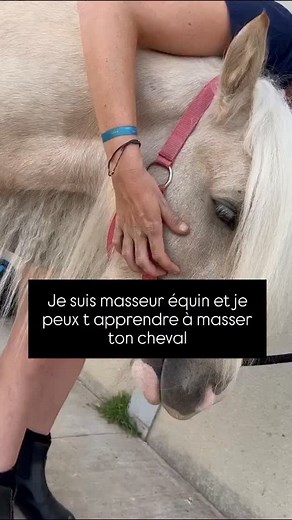 Tu voudrais apprendre à masser ton cheval mais tu ne sais pas par où commencer? 👀 Tu as vu des formations pro mais qui sont hors de prix, loin, et qui commencent dans plusieurs mois? 😱 Alors que toi, tu veux juste apprendre à prendre soin de ton cheval et à le masser avec tes mains... simplement...pour son confort, pour votre complicité, pour sa performance... Tu peux démarrer immédiatement grâce à EquiRelax! 👌 J'ai créé LA formation en ligne que j'aurais aimé trouver quand je suis devenue pr
