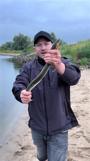 Aal ausnehmen beim Angeln: Schritt-für-Schritt-Anleitung