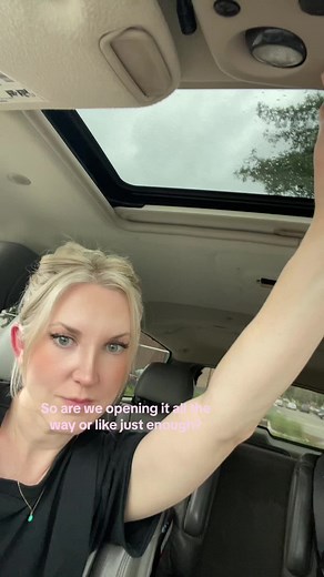 Fully Open Sunroof Dilemma with Curious Hamster