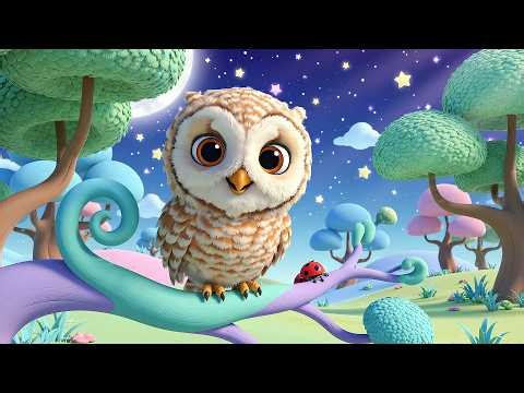 Baby Owl Hoots Hoo Hoo Haa | Bedtime Animal Songs & Nature Sounds