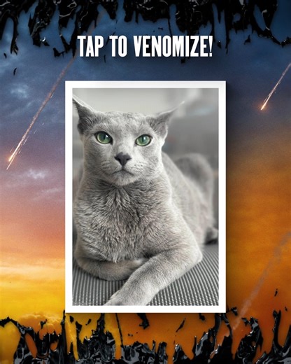 Like your pets…just with an extra bite. 🐱🖤 Venomize your furry friends at venomizemypet.com #VenomizeMyPet Powered by Getty Images and NVIDIA | Venom