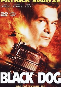 Czarny Pies - streaming: gdzie obejrzeć film online?