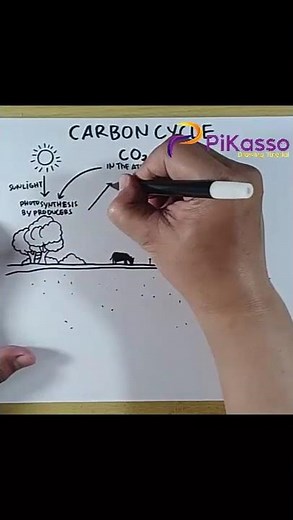 How to Draw Fossil Fuels Cycle in Less Than One Minutes