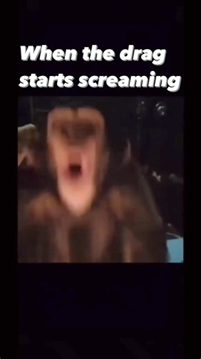 What’s your reaction to line peeling and drag screaming when you catch a good fish? | Fishhook Terry