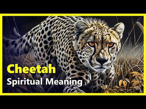 Spiritual Meaning of a Cheetah