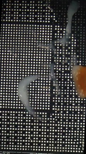 Graphics Card Repair GPU Reball #gpurepair #microsoldering