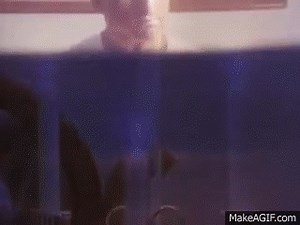 [Warning 18   Movie ] Animal Instincts  Full Movie 18  With Shannon Whirry Short Film on Make a GIF