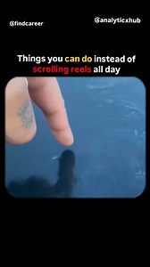 AI hacks| DataAnalytics| Resume building | jobs | 𝗙𝗥𝗘𝗘 𝗔𝗰𝗰𝗲𝘀𝘀 𝗧𝗼 𝟭𝟬𝟬+ 𝗢𝗻𝗹𝗶𝗻𝗲 𝗖𝗼𝘂𝗿𝘀𝗲𝘀😍 - AI - ChatGPT - Data Analytics - Web Development - Data Science - Python - AWS - Digital... | Instagram