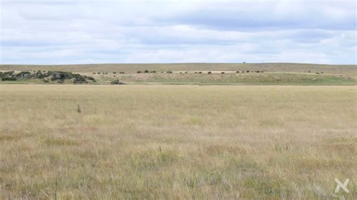 Realistic Medieval battle!