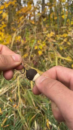 Best carp rig montage | Easy setup for big carp fishing