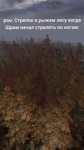 #сталкертеньчернобыля #сталкерчистоенебо #сталкерзовприпяти #сталкер #шрам #шрамсталкер #стрелок #strelok