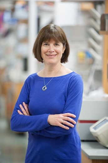 BMP Morphogen Gradient Formation, Interpretation, and Signaling Mechanism