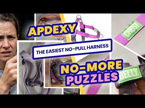 The Easiest No-Pull Dog Harness You'll Ever Use | APDEXY vs. Traditional Webbing