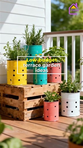 🌿💰 Low Budget Terrace Garden Ideas | Easy DIY Decorating Tips