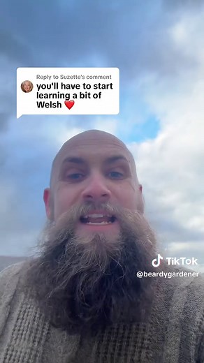 Reasons to Learn the Welsh Language