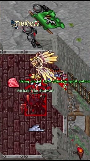 TIBIA / 1500 RP AVATAR