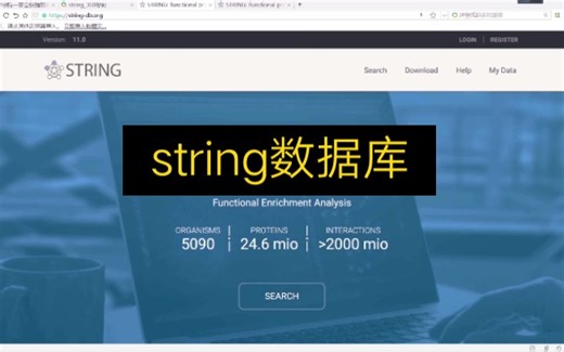 【string数据库】【生物信息学】STRING数据库的介绍和使用，希望对有需要的人有所帮助❤️