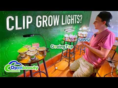 Top 3 LED Clip Grow Lights? 6 Crops, 60 Days, OpenBeauty v GooingTop v Sansi