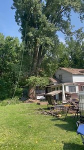 🫣 | Woodworking Crazy