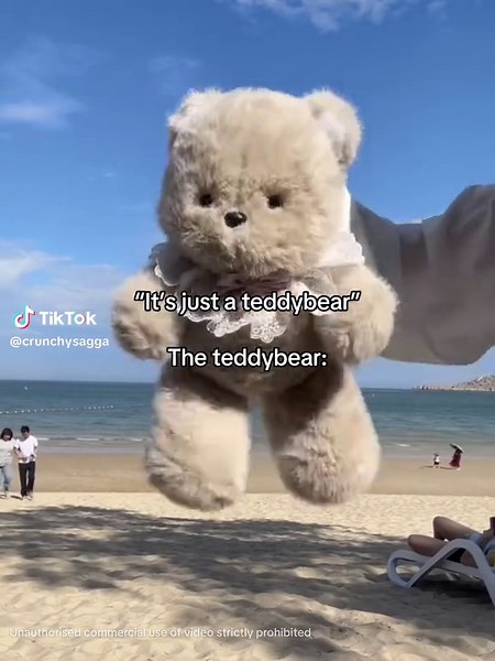 The Ultimate Snuggle Buddy: Teddy Bear Love 😴🧸