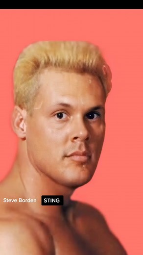 #steveborden #Stingwcw #stingaew