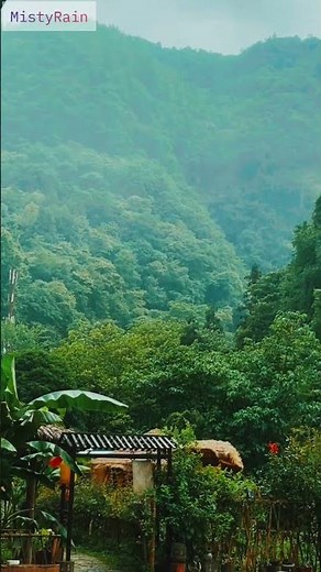 Gentle Rain & Wind in a Mountain Valley 🌧️🌬️ | Peaceful Nature Sounds for Sleep & Relaxation #Rain