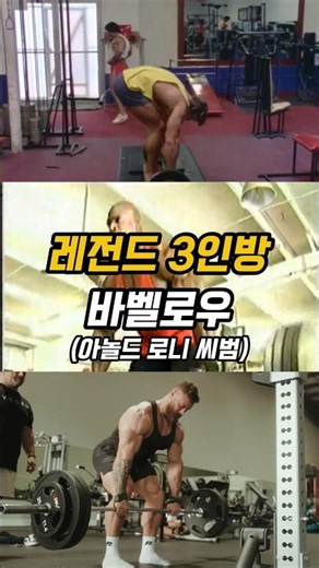 보디빌딩 레전드들의 바벨로우 차이(아놀드vs 로니vs씨범)