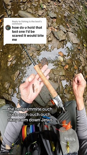 FlyFishDelawhere on TikTok