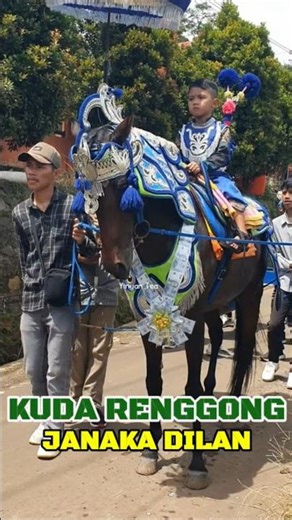 Horse dance video shorts janaka