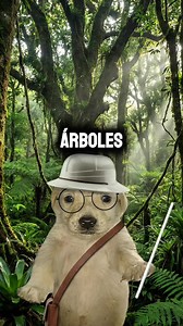 Árboles y hongos: comunicación bajo tierra