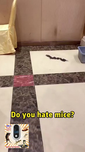 Here is a simple and effective way to keep a mouse out of the house!#mousetrap #ultrasonic #deratization #wildanimals #animals #mouse #goodthing #mousquito #foryoupage #fyp #philippines