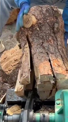machine process for splitting hardwood #shorts